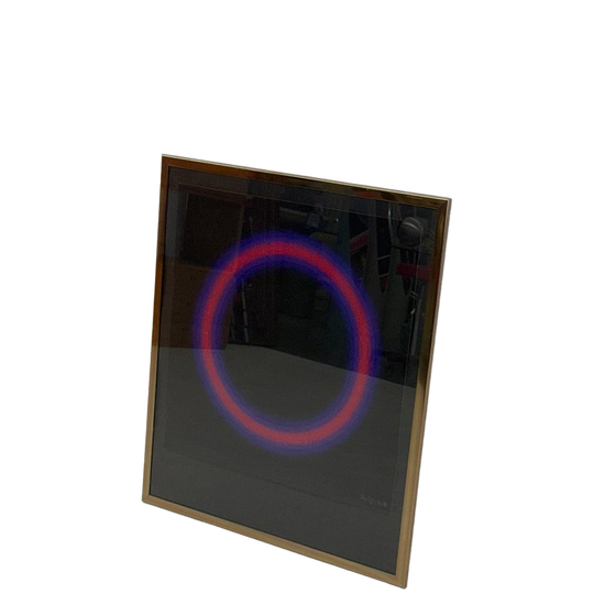 Peter Sedgley 100 Impressions Zeefdruk 1