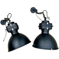 2x Grote Zware Industriële Lamp