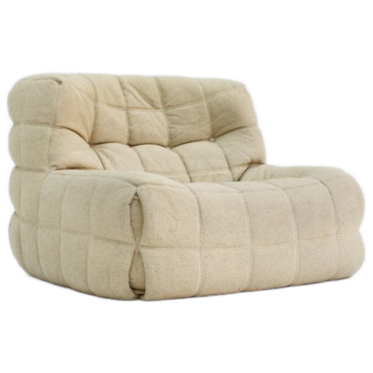 Vintage Kashima Armchair For Ligne Roset By Michel Ducaroy 1970s 1