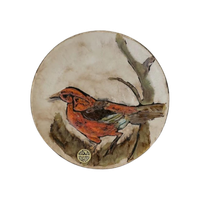 Xl Vintage West Duitse Keramische Muur Bord Vogel