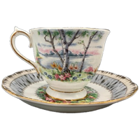 Set Royal Albert Silver Birch Dames En Heren Kop En Schotel