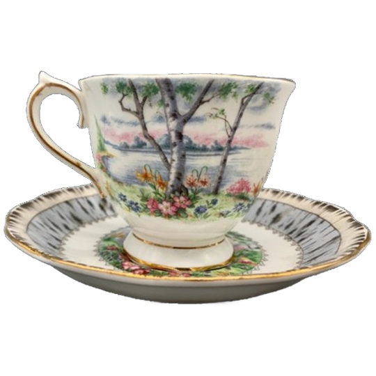 Set Royal Albert Silver Birch Dames En Heren Kop En Schotel 1