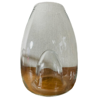Grote Glazen Vaas