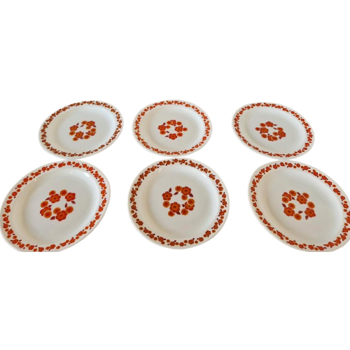 Arcopal Lotus 6 Platte Borden Diner Plates Retro Borden