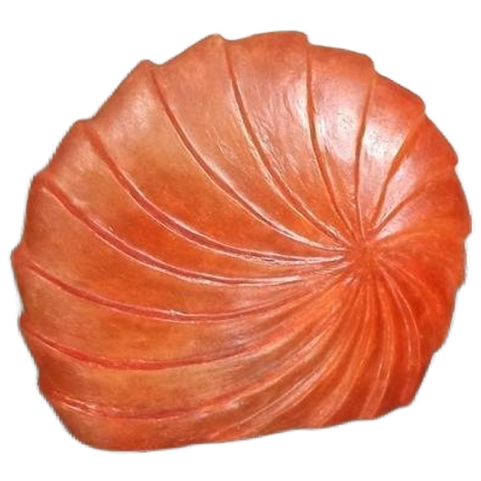 Grote Schelp/ammoniet Vorm Tafellamp, Kunststof 1