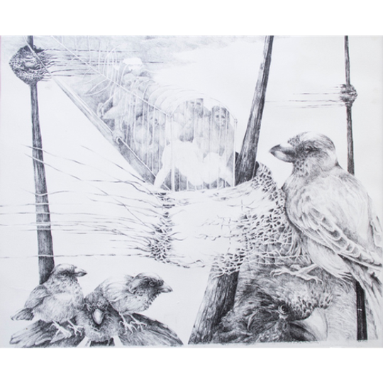Vintage Gesigneerde Litho Door Hanneke Vermeulen Met Vogels / Vogelnest 1