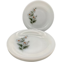 Set Arcopal Soep/pasta Borden Daisy 4 Stuks