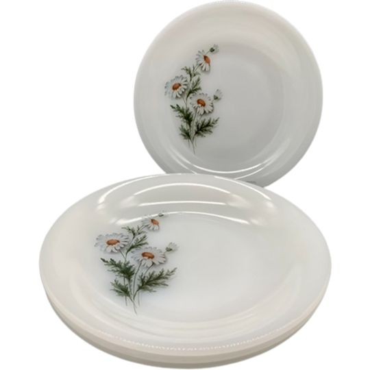 Set Arcopal Soep/pasta Borden Daisy 4 Stuks 1