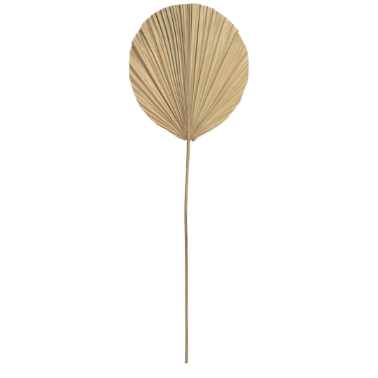 Bazar Bizar | Het Rayung Blad - Naturel 1