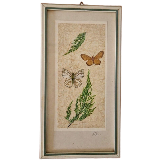 Vintage Lijst Met Opgezette Vlinder En Droogbloemen Lijst 1