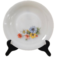 Arcopal Anemone Diner Borden