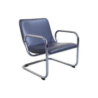 Leren Lounge Fauteuil Met Buisframe Fauteuil Reliving