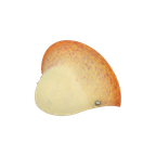 Vintage Glaspasta Wandlamp thumbnail 1