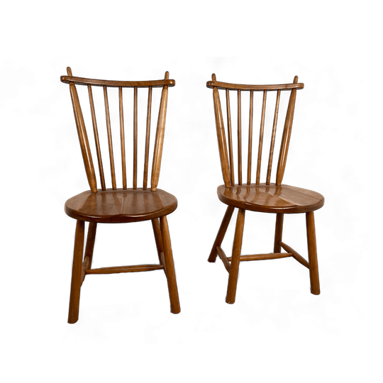 2X De Ster Gelderland 1