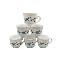 Set Arcopal Veronica Kopjes 6 Stuks