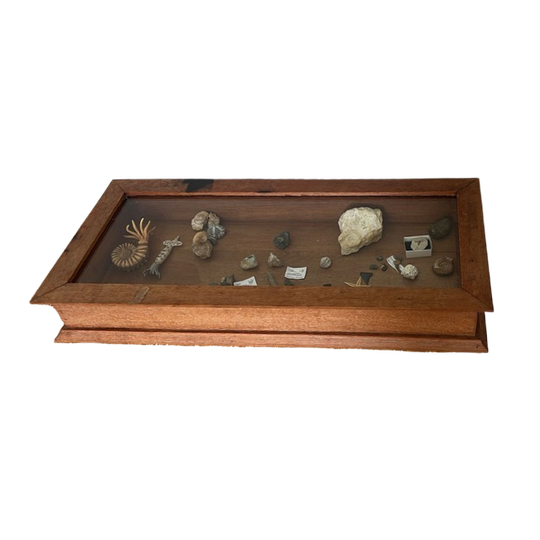 Oude Toonbank Vitrine 1