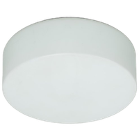 Wit Glazen Plafondlamp 69454