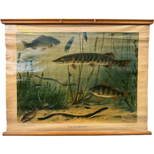 Vintage Linnen Schoolkaart – Zoetwatervissen 1