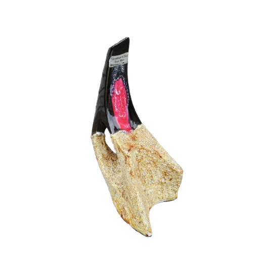 Unieke Vallauris Kan 1