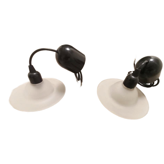 Set Van 2 Vintage Space Age Glazen Hanglampen, Massive 1