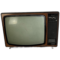 Vintage Televisie Jaren 70 Philips Goya Exklusiv