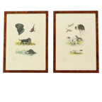 Kleuren Litho’s Boris Riab Jachthond Gesigneerd Kunst Paris thumbnail 1