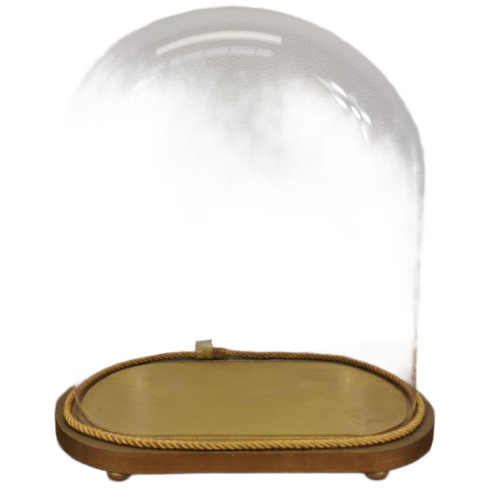 Antieke Vintage Grote Glazen Ovale Stolp. 510 1