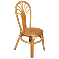Rotan Stoeltje Met Pauwenstaart Waaier Boog