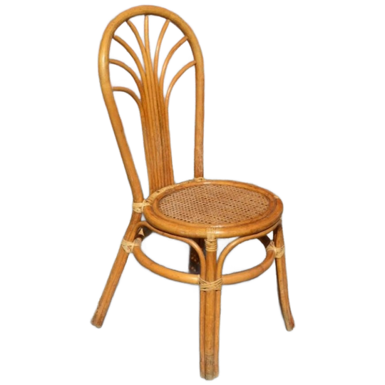 Rotan Stoeltje Met Pauwenstaart Waaier Boog 1