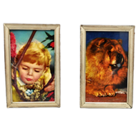 Fotolijstjes