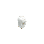 Witte Porseleinen Olifant Met Goud Plantentafel thumbnail 1