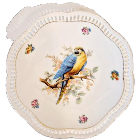 Vintage Wandbord Met Papegaai Vogel 1