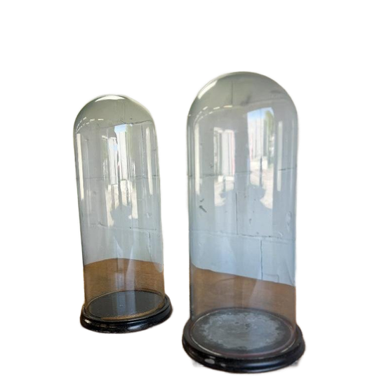 Vintage Glazen Stolp Op Houten Voet 1