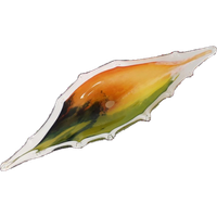 *vintage Mondgeblazen Schaal Fruitschschaal Murano ?