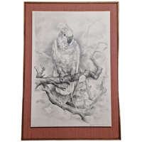 Vintage Print Of Tekening Kakatoe Schilderij Vintage