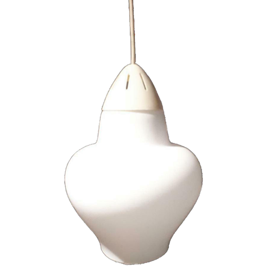 Philips Louis Kalff Hanglamp Vintage Lamp Plafondlamp 1