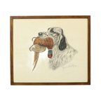 Maurice Brailly Jachthond Fazant Vintage Grafiek In Kleur 1972 thumbnail 1