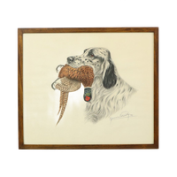 Maurice Brailly Jachthond Fazant Vintage Grafiek In Kleur 1972