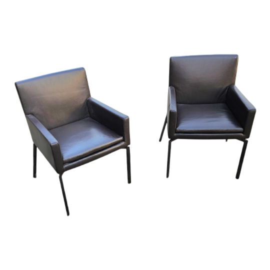 2 X Manet Minotti Arm Chairs 2004 / Dark Brown Leather / Chrome Height 83 1