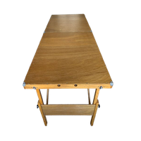 Behandel- / Massagetafel Met Hoofdsteun, Inklapbaar
