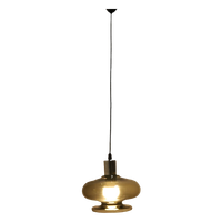 Vintage Rook Kleurige Glazen Hanglamp Met Chromen Montuur, Jaren 70.