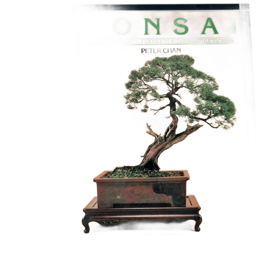 Bonsai Het Kweken En Verzorgen Peter Chan Boek 1
