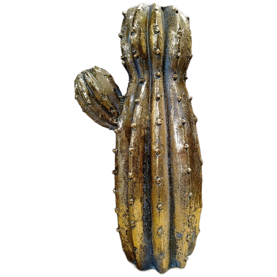 Cactus Vaas 1