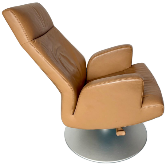 De Sede Ds-256 Design Loungestoel 1