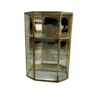 Vintage Mini Serre / Vitrine / Etagere Met Spiegelwand