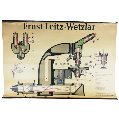 Schoolplaat (De) - Microscoop Ernst Leitz Wetzlar