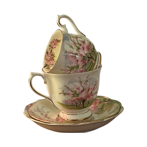 Royal Albert "Blossom Time" Duo