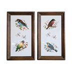 Vintage Tegeltjes Tegeltableau Lijstjes Met Vogels thumbnail 1