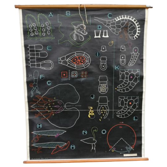 Schoolplaat - De Varen 1