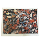 F. De Keijzer Litho Vissen thumbnail 1